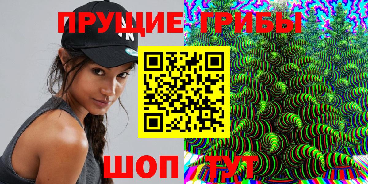 Самара  Галлюциногенные грибы Psilocybine cubensis  Вход с VPN 